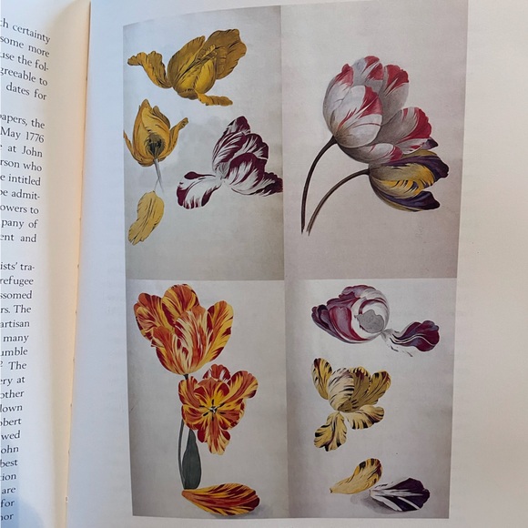 The Tulip, by Anna Pavord Hardcover Book First Edition - Picture 6 of 8